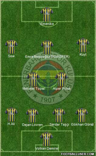 Fenerbahçe SK Formation 2013