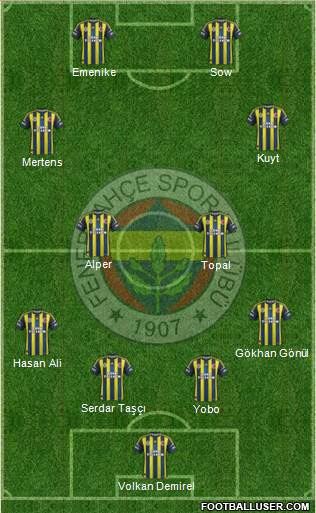 Fenerbahçe SK Formation 2013