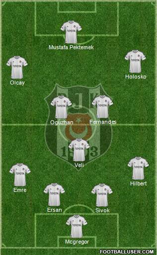 Besiktas JK Formation 2013