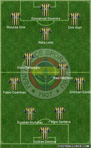Fenerbahçe SK Formation 2013