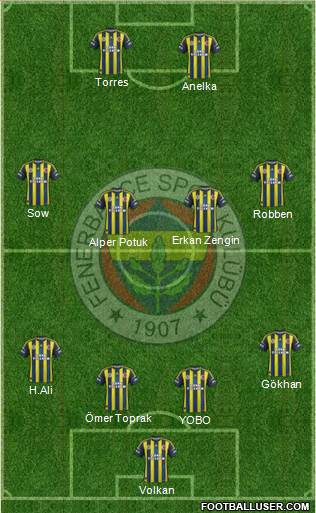 Fenerbahçe SK Formation 2013
