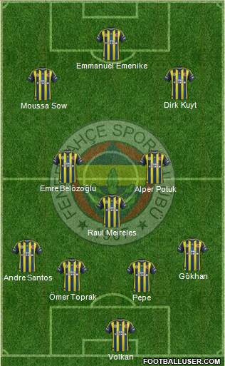 Fenerbahçe SK Formation 2013