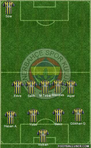 Fenerbahçe SK Formation 2013