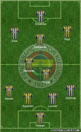 Fenerbahçe SK Formation 2013