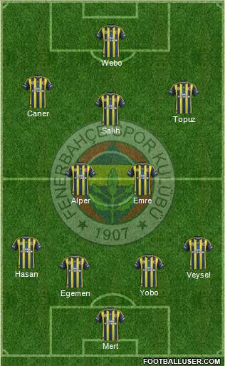 Fenerbahçe SK Formation 2013
