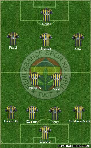 Fenerbahçe SK Formation 2013