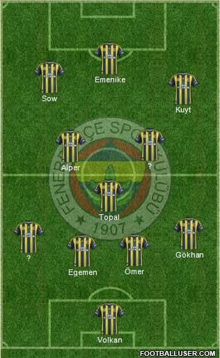 Fenerbahçe SK Formation 2013