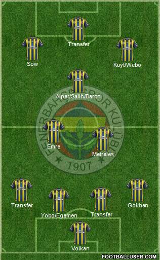 Fenerbahçe SK Formation 2013