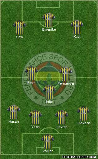 Fenerbahçe SK Formation 2013