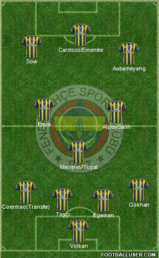 Fenerbahçe SK Formation 2013