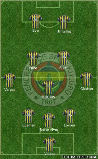 Fenerbahçe SK Formation 2013