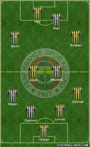 Fenerbahçe SK Formation 2013