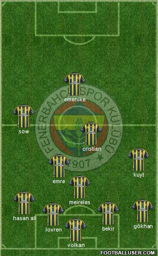 Fenerbahçe SK Formation 2013