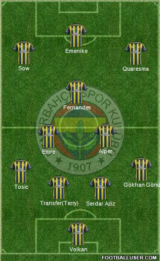 Fenerbahçe SK Formation 2013