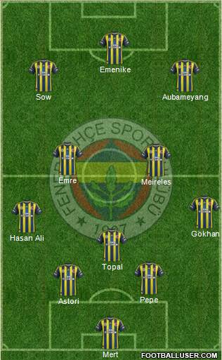 Fenerbahçe SK Formation 2013