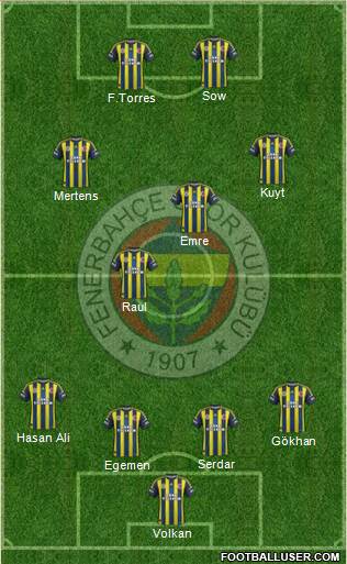 Fenerbahçe SK Formation 2013