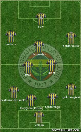 Fenerbahçe SK Formation 2013