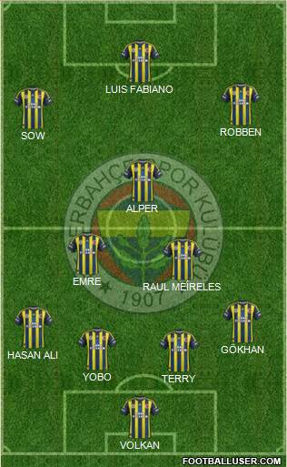 Fenerbahçe SK Formation 2013