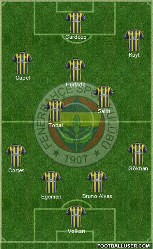 Fenerbahçe SK Formation 2013