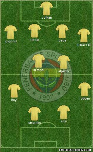 Fenerbahçe SK Formation 2013
