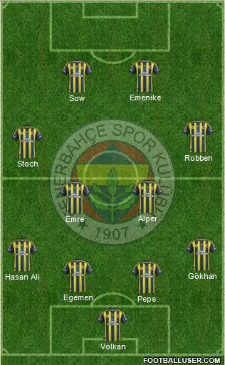 Fenerbahçe SK Formation 2013