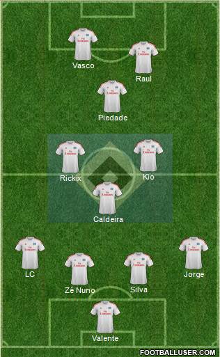 Hamburger SV Formation 2013