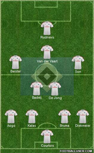 Hamburger SV Formation 2013
