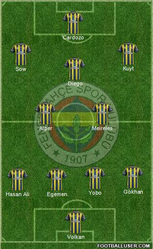 Fenerbahçe SK Formation 2013