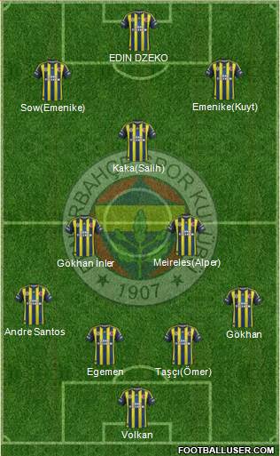Fenerbahçe SK Formation 2013