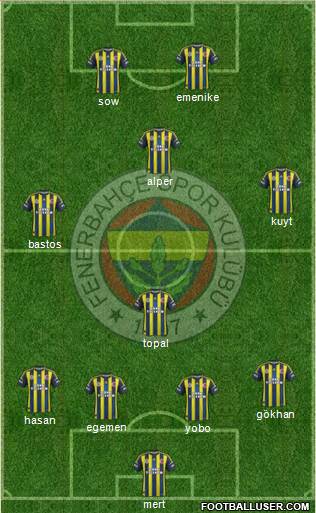 Fenerbahçe SK Formation 2013