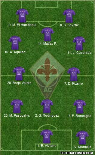 Fiorentina Formation 2013
