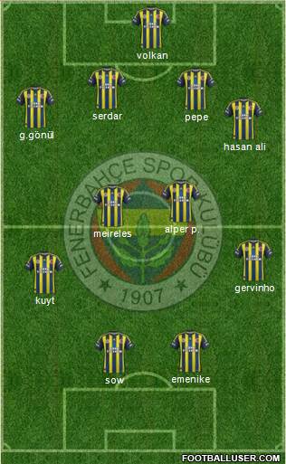 Fenerbahçe SK Formation 2013