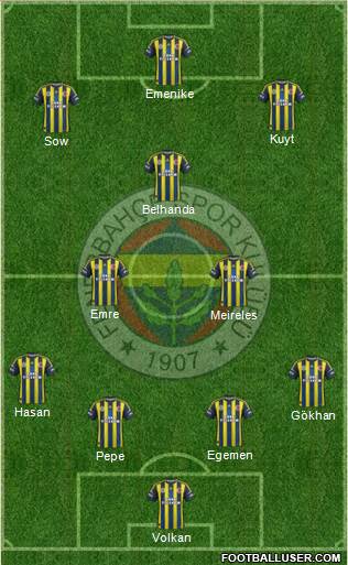 Fenerbahçe SK Formation 2013