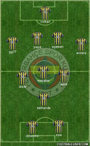 Fenerbahçe SK Formation 2013