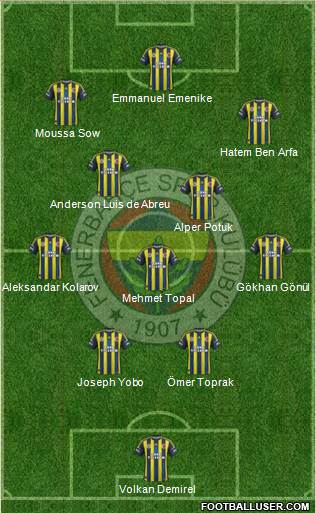 Fenerbahçe SK Formation 2013
