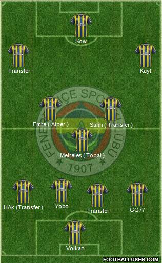 Fenerbahçe SK Formation 2013