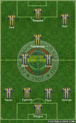 Fenerbahçe SK Formation 2013