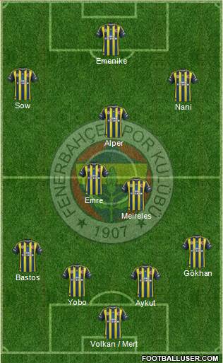 Fenerbahçe SK Formation 2013