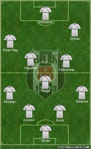 Besiktas JK Formation 2013