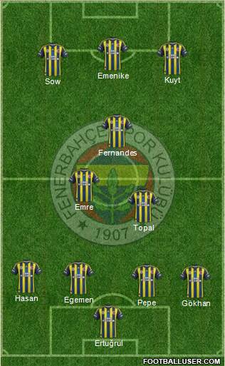Fenerbahçe SK Formation 2013
