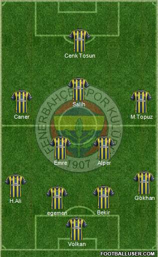 Fenerbahçe SK Formation 2013