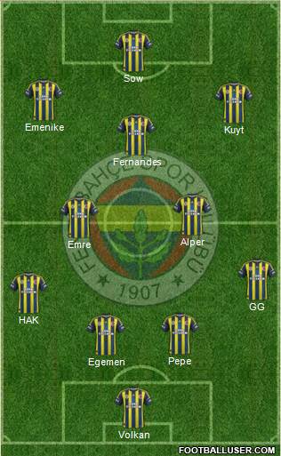 Fenerbahçe SK Formation 2013