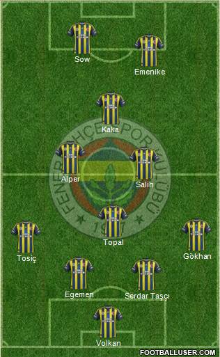 Fenerbahçe SK Formation 2013