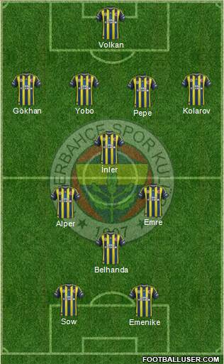 Fenerbahçe SK Formation 2013