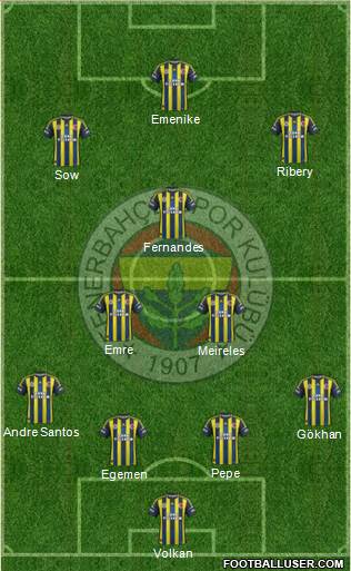 Fenerbahçe SK Formation 2013