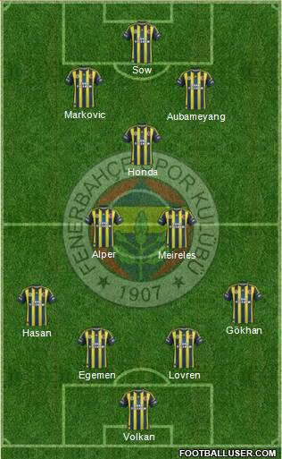 Fenerbahçe SK Formation 2013