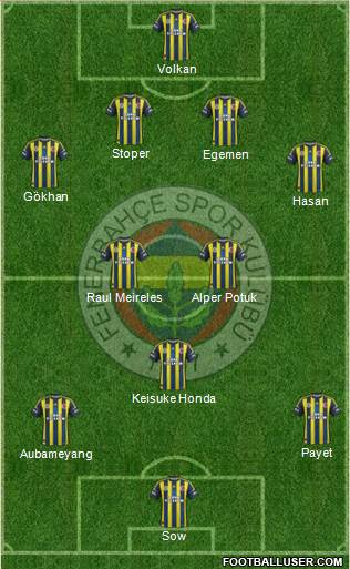 Fenerbahçe SK Formation 2013
