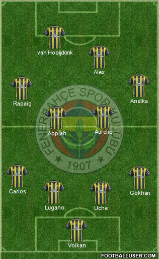 Fenerbahçe SK Formation 2013