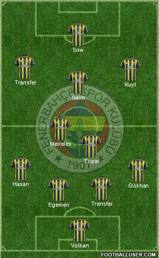 Fenerbahçe SK Formation 2013
