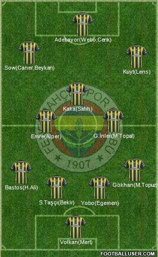 Fenerbahçe SK Formation 2013